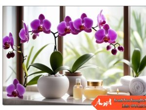 Tranh treo tường Spa Hoa lan bên cửa sổ cùng với các sản phẩm chăm sóc massage da AmiA 3004052024