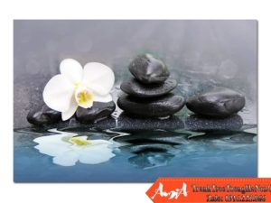 Tranh treo tường Spa Hoa lan trắng và đá phản chiếu trong nước AmiA 0904162024