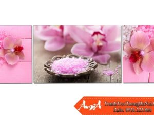 Tranh treo tường Spa hoa lan và muối biển hồng AmiA 4104172024